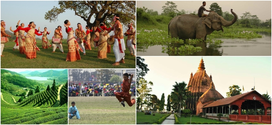 Highlights Of Assam
